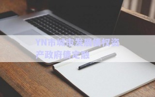 YN市城市發(fā)展債權(quán)資產(chǎn)政府債定融 YN市城市發(fā)展債權(quán)資產(chǎn)政府債定融