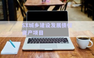 SX城鄉(xiāng)建設(shè)發(fā)展債權(quán)資產(chǎn)項目 SX城鄉(xiāng)建設(shè)發(fā)展債權(quán)資產(chǎn)項目
