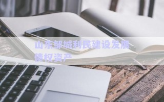 山東鄒城利民建設(shè)發(fā)展債權(quán)資產(chǎn) 山東鄒城利民建設(shè)發(fā)展債權(quán)資產(chǎn)