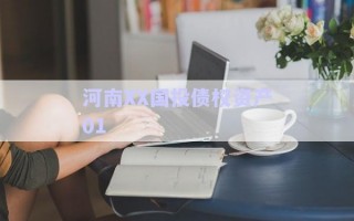 河南XX國投債權資產01 河南XX國投債權資產01