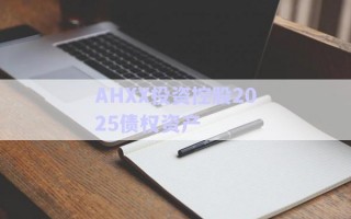 AHXX投資控股2025債權(quán)資產(chǎn) AHXX投資控股2025債權(quán)資產(chǎn)