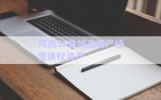 河南SS縣城鑫資產(chǎn)經(jīng)營債權資產(chǎn)