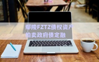 鄢陵FZTZ債權資產(chǎn)拍賣政府債定融 鄢陵FZTZ債權資產(chǎn)拍賣政府債定融