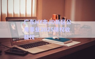 廣東HY市JD新區(qū)公用事業(yè)2025債權收益權
