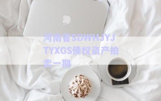 河南省SDWHJYJTYXGS債權資產拍賣一期