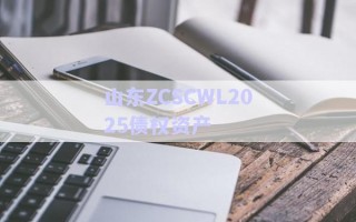 山東ZCSCWL2025債權(quán)資產(chǎn)