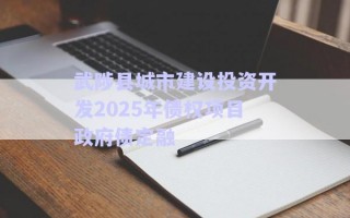 武陟縣城市建設(shè)投資開(kāi)發(fā)2025年債權(quán)項(xiàng)目政府債定融