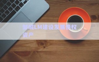 鄒城LM建設(shè)發(fā)展債權(quán)資產(chǎn) 鄒城LM建設(shè)發(fā)展債權(quán)資產(chǎn)