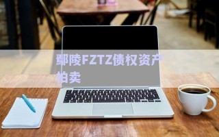鄢陵FZTZ債權(quán)資產(chǎn)拍賣(mài) 鄢陵FZTZ債權(quán)資產(chǎn)拍賣(mài)