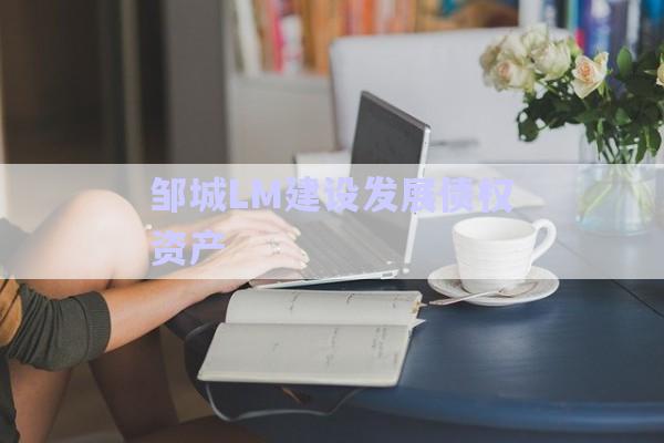鄒城LM建設發(fā)展債權資產-第1張圖片-政信固收網(wǎng)