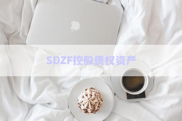 SDZF控股債權資產(chǎn)-第1張圖片-政信固收網(wǎng)
