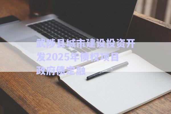 武陟縣城市建設(shè)投資開發(fā)2025年債權(quán)項(xiàng)目政府債定融-第1張圖片-政信固收網(wǎng)