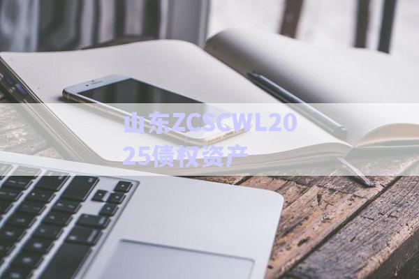 山東ZCSCWL2025債權(quán)資產(chǎn)-第1張圖片-政信固收網(wǎng)