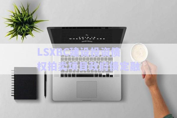 LSXBC建設(shè)投資債權(quán)拍賣項(xiàng)目政府債定融-第1張圖片-政信固收網(wǎng)