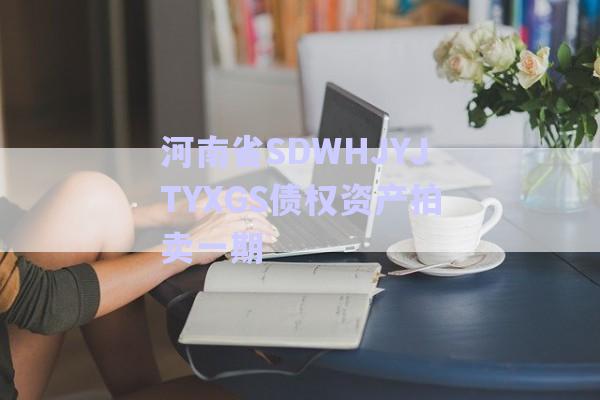 河南省SDWHJYJTYXGS債權(quán)資產(chǎn)拍賣一期-第1張圖片-政信固收網(wǎng) 河南省SDWHJYJTYXGS債權(quán)資產(chǎn)拍賣一期-第1張圖片-政信固收網(wǎng)